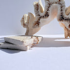 Earcuff Bertille